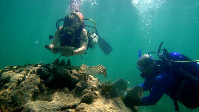 MSRI Researcher and research assistant scuba diving near a coral reef and taking samples